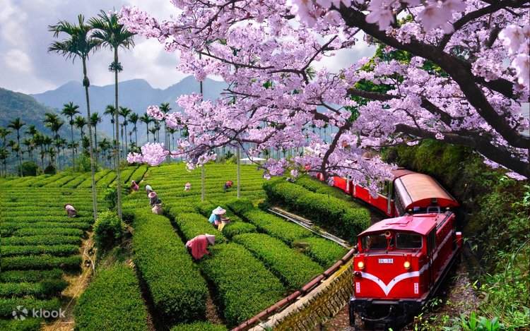 Taiwan